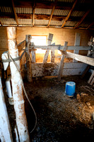 Milking stall